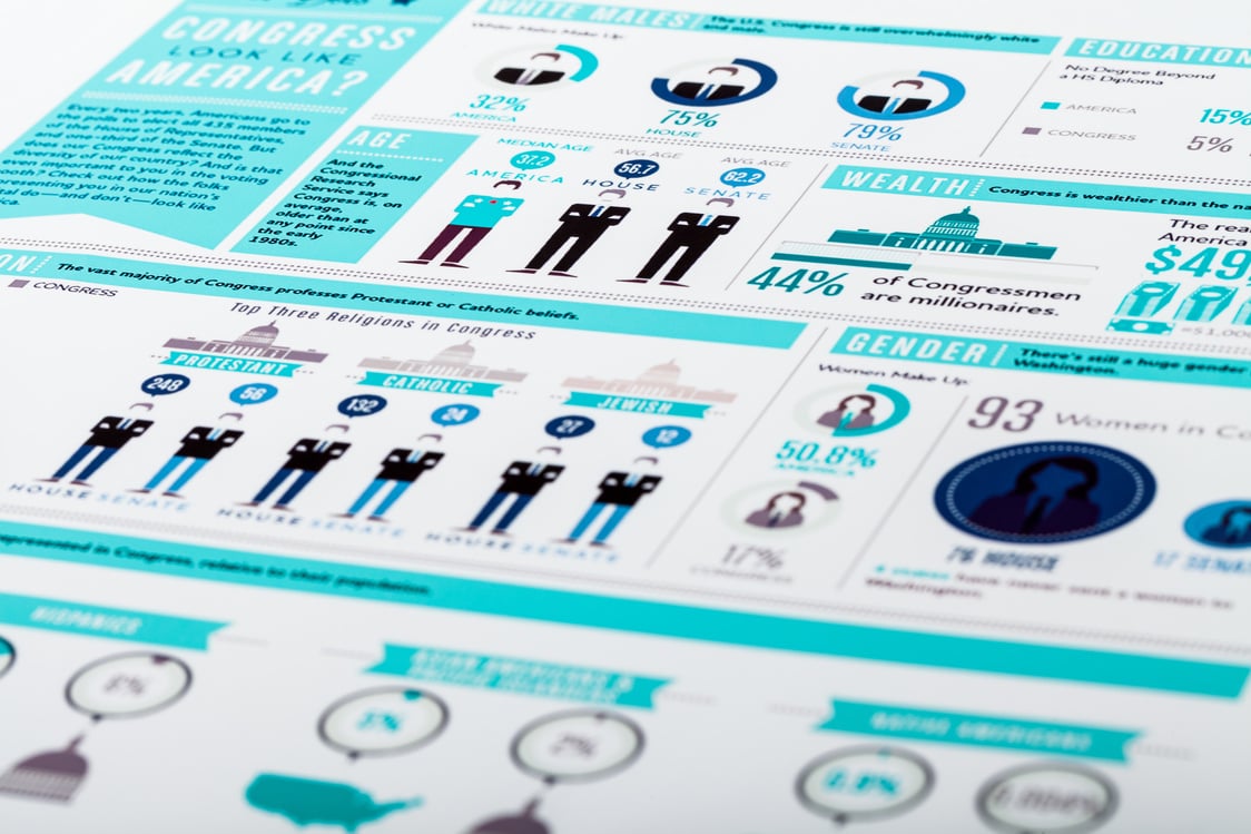 Political Infographic Analysis 